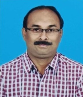 Vivek K Savant